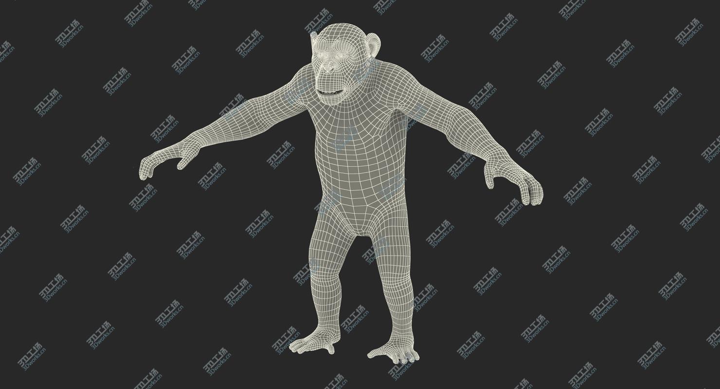 images/goods_img/2021040162/Light Chimpanzee Rigged with Fur 3D/5.jpg